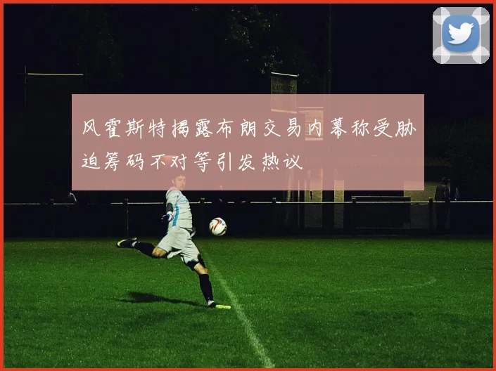 风霍斯特揭露布朗交易内幕称受胁迫筹码不对等引发热议