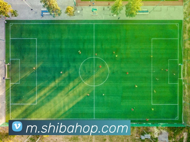 奖项2